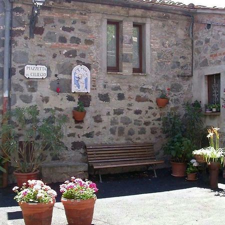 Casa del Ciliegio Radicofani Exterior foto